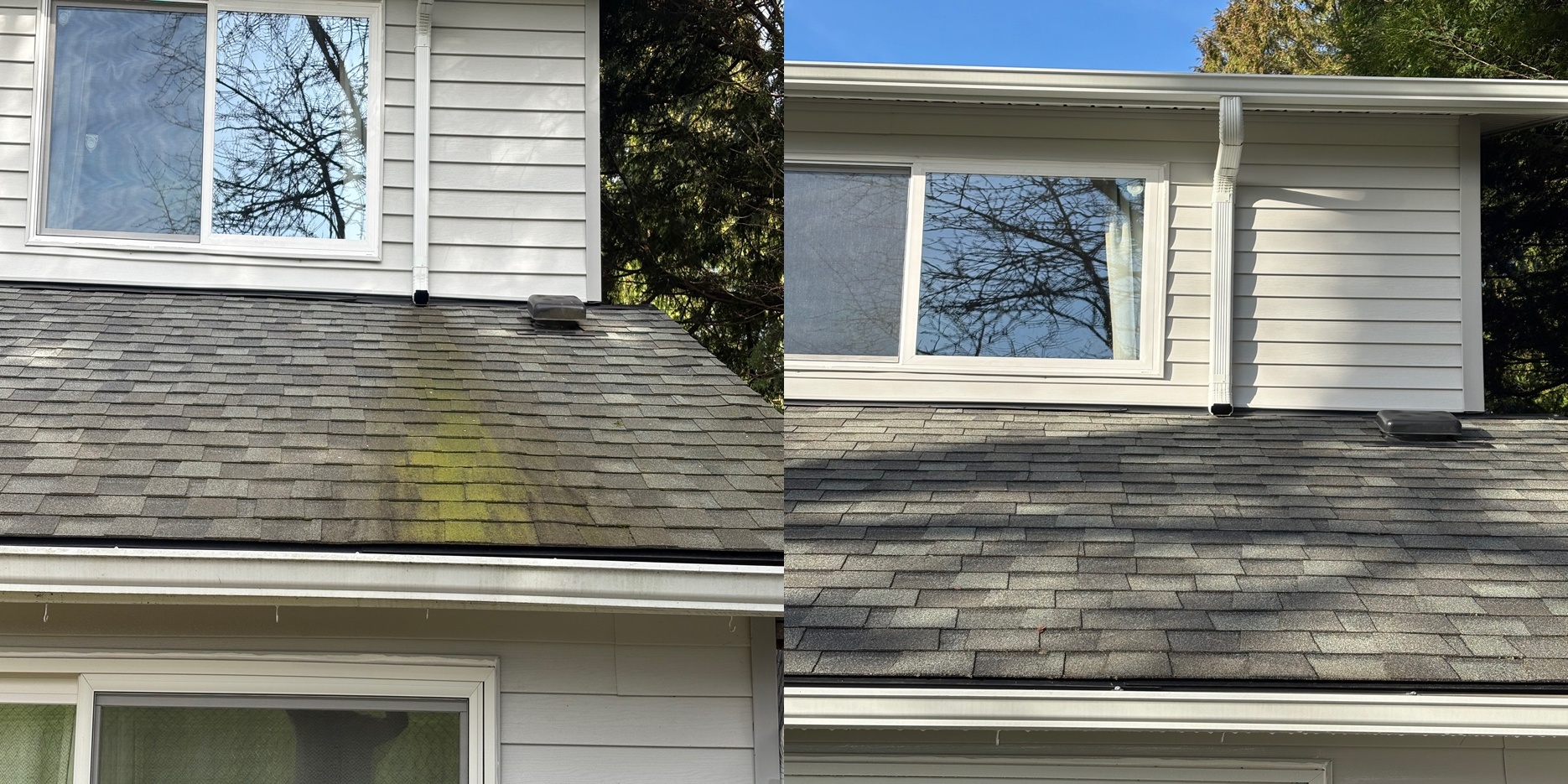 Roof wash before and after - moss and algae removal